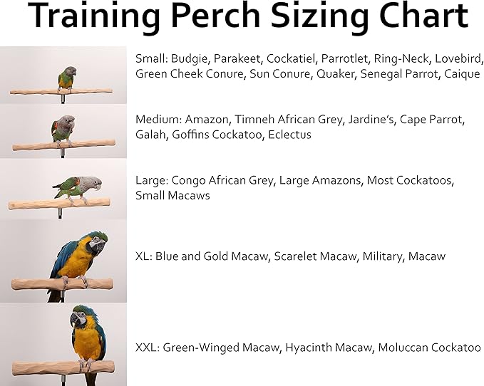 Parrot Training Perch Stand with Potty Tray (T Perch, Medium)