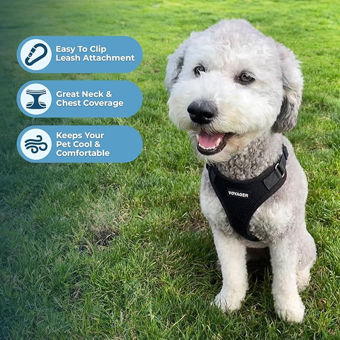 Voyager Step-in Pet Harness - All Weather Mesh, Adjustable Step in Harness for Cats and Dogs by Best Pet Supplies - Black, XS