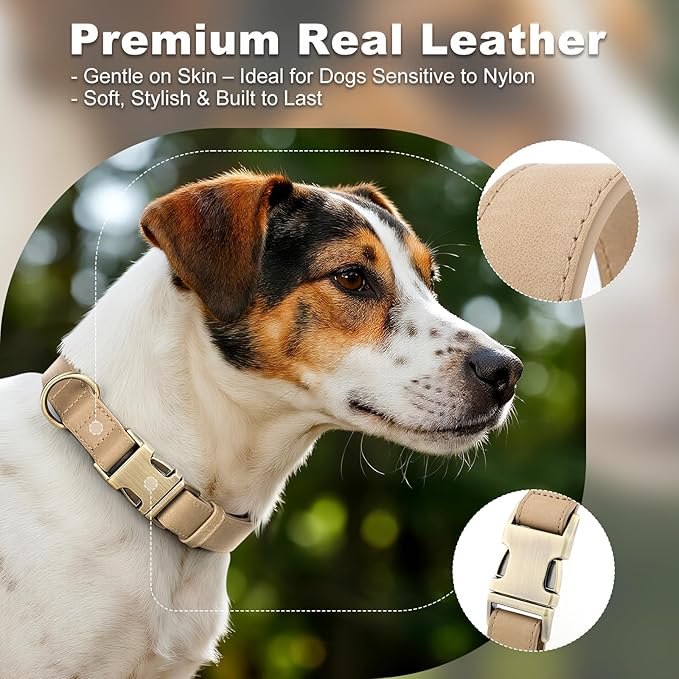 Plutus Pet Genuine Leather Dog Collar – Adjustable Pet Collar with Quick Release Metal Buckle, Soft Real Leather for Small Medium Large Dogs, Heavy Duty & Skin-Friendly (Beige, S)