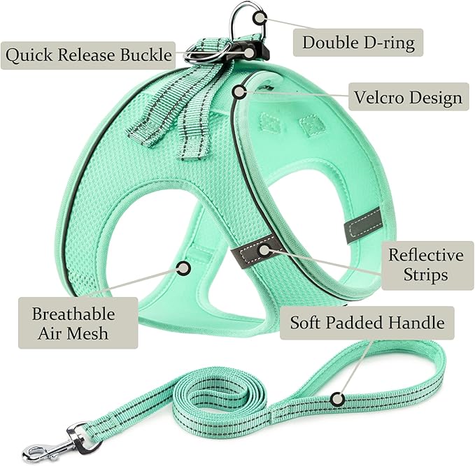 Dog Harness with Leash Set, No Pull Adjustable Reflective Step-in Puppy Pet Vest Harnesses for Small Medium Large Dogs and Cats,Green XS