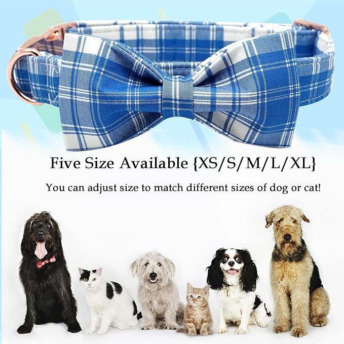 Lionheart glory Dog Collar, Boy Dog Collar Bowtie Blue Plaid Adjustable Dog Bowtie Collar Bows Dog Collar for X-Large Dogs