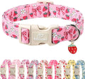 Strawberry Bow Dog Collar for Puppy Small Dogs - Cute Pink Spring/Summer Girl Dog Collars, Lightweight Adjustable Female Girly Dogs Collars with Quick Release Buckle XS