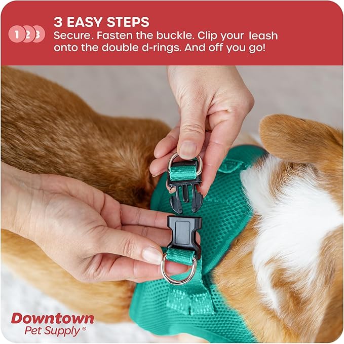 Downtown Pet Supply Step in Dog Harness for Small Dogs No Pull, Medium, Bermuda Blue - Adjustable Harness with Padded Mesh Fabric and Reflective Trim - Buckle Strap Harness for Dogs