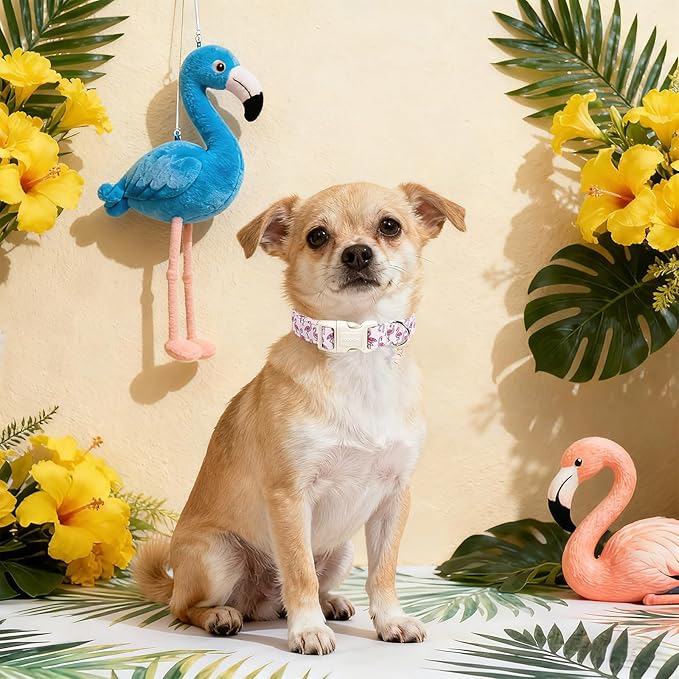 DOGWONG Cute Pet Dog Collar Pink Flamingos Cotton Dog Collar- Soft Girl Puppy Adjustable Pet Collars for Small Medium Large Dogs,M