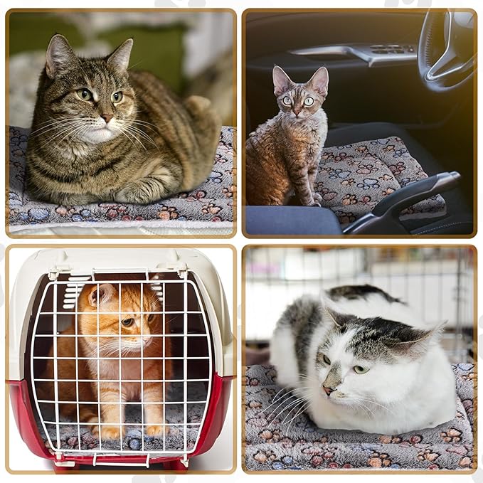 Tuanse 4 Pack Ultra Soft Dog Cat Bed Mat Small Animal Guinea Pig Bed with Cute Print Reversible Fleece Dog Crate Kennel Pad Cozy Washable Thickened Hamster Pet Beds Mat(13 x 19 Inches,Gray)