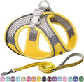 AIITLE Small Harness for Puppy with A Leash - Dog Vest Harness with Super Breathable Mesh, Reflective No-Pull Pet Harness for Outdoor Walking, Running for Small Dogs, Cats Yellow XXS