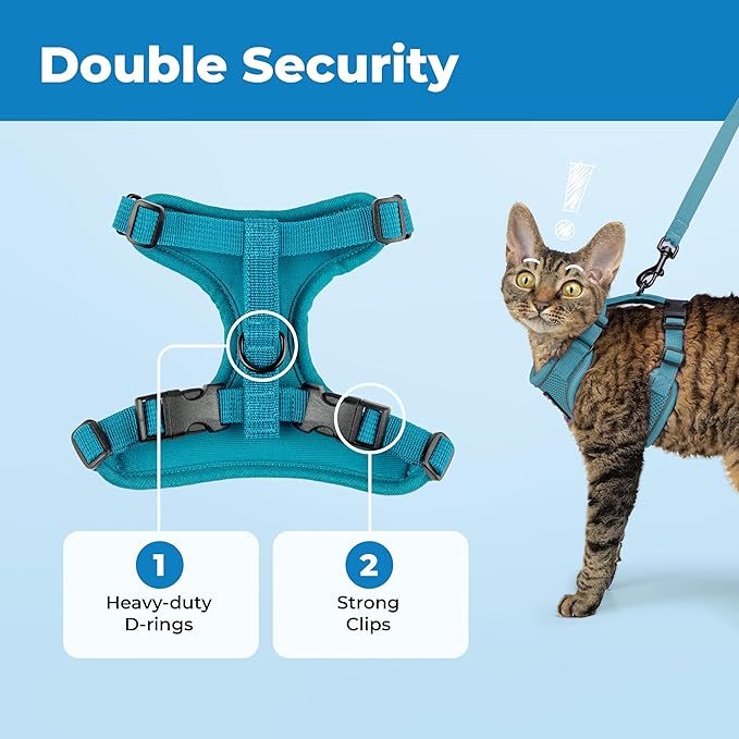 Voyager Escape-Proof Step-in Lock Cat Harness & 5ft Neoprene-Handle Leash Set All-Weather Mesh with Reflective Stitching for Small to Large Cats by Best Pet Supplies, Turquoise (327), M