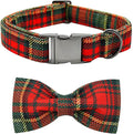 Dog Collar - Thanksgiving Turkey Dog Collar Bowtie Gift Soft Bow Adjustable Metal Buckle Pet Collar for Large Dogs
