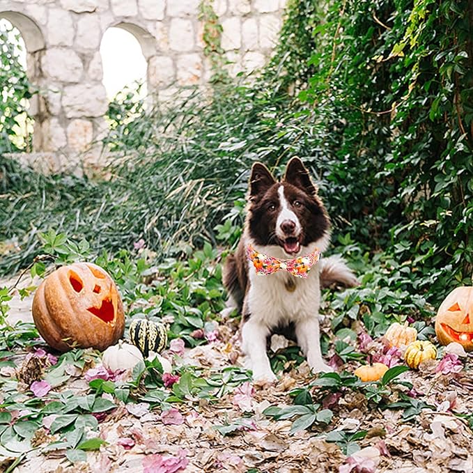 Fall Dog Collar, Pink Flower Pumpkin Print Adjustable Pet Collar Cute Cotton Soft Collars with Bow Tie Metal Buckle Holiday Puppy Collars Boy&Girl Gift for X-Large Dogs