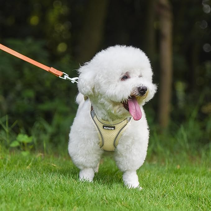 AIITLE Dog Harness, No-Pull Cat Harness with a Leash, Adjustable Reflective Dog Vest, Cat Harness Escape Proof, Outdoor Walking, Running,Training for Extra Small Dogs and House Cats Beige XXXS