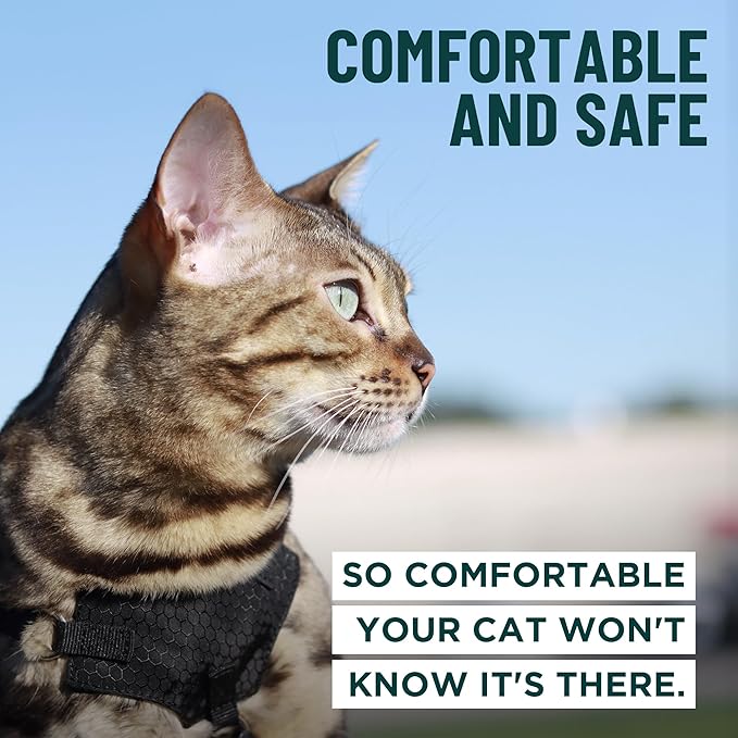 Houdini™ Escape Proof Cat Harness and Leash Set by OutdoorBengal – Tactical Vest for Walking – Comfy, Adjustable and Lightweight - Houdini Cat Harness Escape Proof for Cats + Cat Leash (Pink, M)