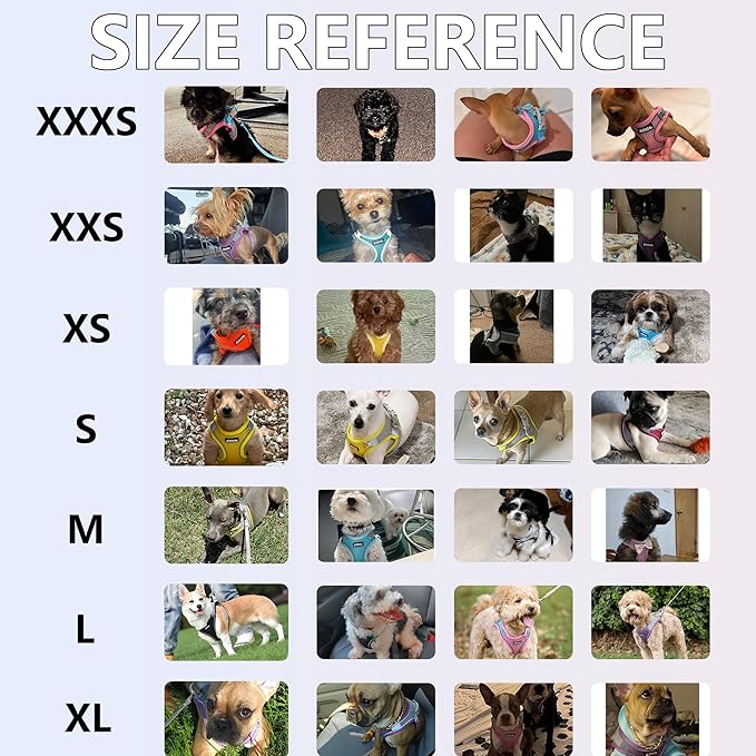 AIITLE Step in Dog Harness and Leash Set - No Pull Escape Proof Vest Harnesses with Soft Mesh and Reflective Bands, Adjustable Pet Outdoor Harnesses for Small and Medium Dogs Turquoise M