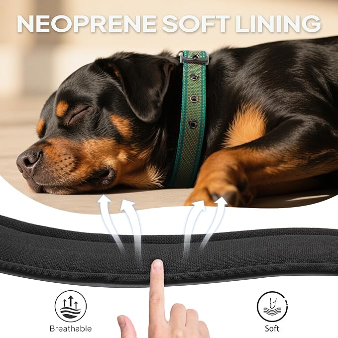 PetiFine Dog Collar for Large Dogs, Neoprene Padded and Adjustable, Reflective Wide Heavy Duty Pet Collars with Durable Metal Belt Buckle for Walking, Teal&Orange, L