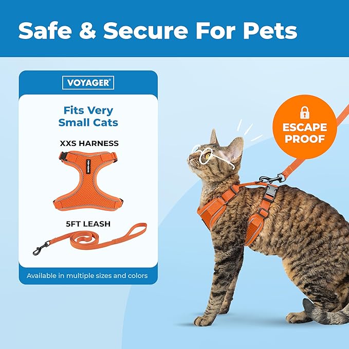 Voyager Escape-Proof Step-in Lock Cat Harness & 5ft Neoprene-Handle Leash Set All-Weather Mesh with Reflective Stitching for Small to Large Cats by Best Pet Supplies, Orange (327), XXS