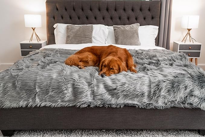 PupProtector Waterproof Throw Blanket for Dogs and Cats, Pet Blanket Cover for Couches, Sofas, Beds, Car Seats, Furniture, Calming Soft Faux Fur, Charcoal Grey, Large (80" L x 62" W)