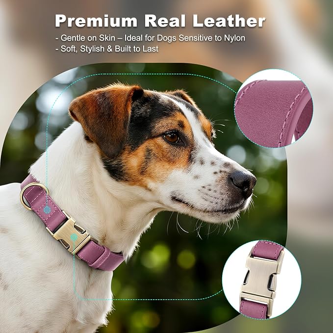 Plutus Pet Genuine Leather Dog Collar – Adjustable Pet Collar with Quick Release Metal Buckle, Soft Real Leather for Small Medium Large Dogs, Heavy Duty & Skin-Friendly (Purple, XS)