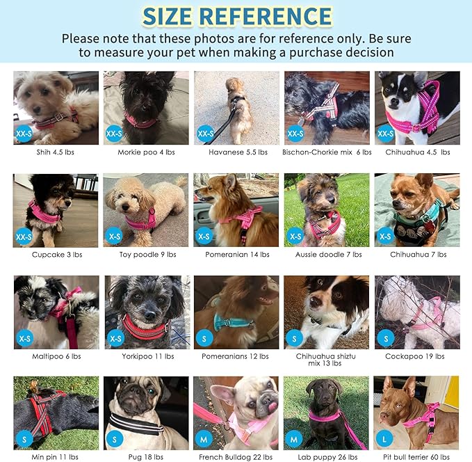 SlowTon No Pull Small Dog Harness and Leash Set, Puppy Soft Vest Harness Neck & Chest Adjustable, Reflective Lightweight Harness & Anti-Twist Pet Lead Combo for Small Medium Dogs (PU-Front Clip, XS)