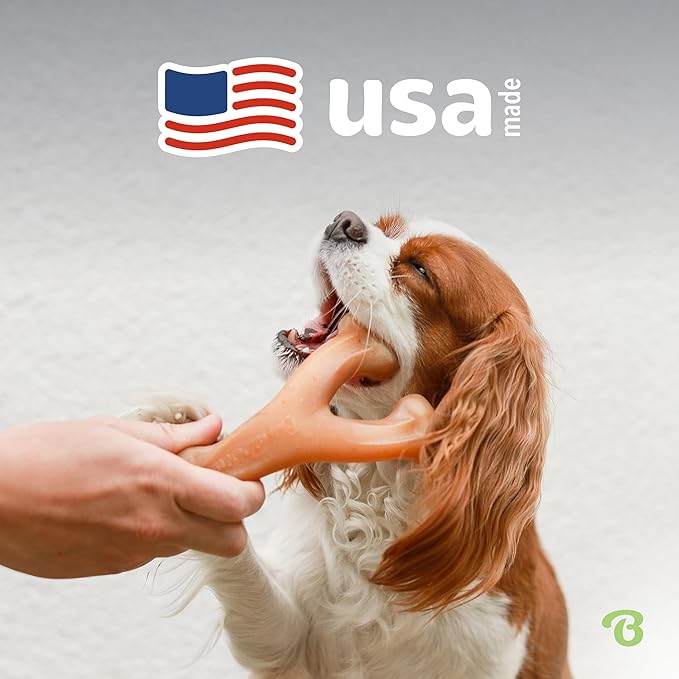 Benebone Wishbone Durable Dog Chew Toy for Aggressive Chewers, Made in USA, Large, Real Bacon Flavor