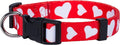 Native Pup Valentine’s Dog Collar- Valentines Day Pet Collars- Valentine Girly Hearts- Pink Red Heart- Cute Boy Girl Puppy Gift- Adjustable for Small, Medium, Large Breeds (Red Heart, Small)