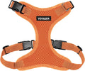Voyager Step-in Pet Harness - All Weather Mesh, Adjustable Step in Harness for Cats and Dogs by Best Pet Supplies - Orange, S