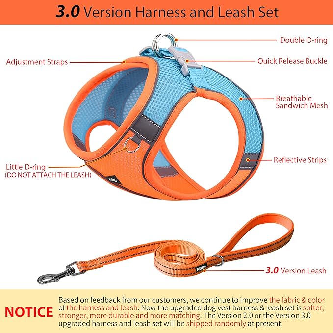 AIITLE No Pull Dog Harness and Leash Set, Step in Adjustable Dog Harness with Padded Vest for All Weather, Dog Leash with Soft Padded Handle, Easy to Put on Small and Medium Dogs Orange S