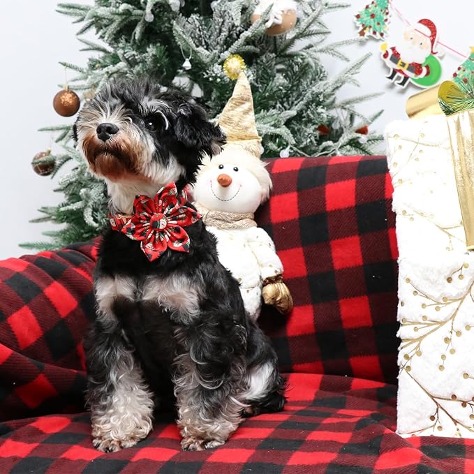 Christmas Dog Collar with Flower, Christmas Flower Collar for Puppy Girl Boy Dog or Cat, Comfortable Dog Collar Flower with Durable Metal Buckle, Cute Pet Collar, XS