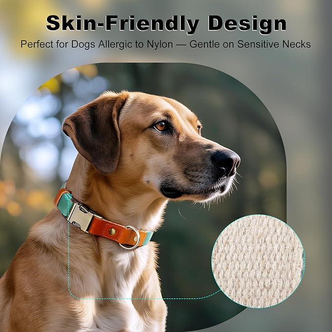 Plutus Pet Genuine Leather & Hemp Dog Collar – Adjustable Heavy Duty Pet Collar with Quick Release Metal Buckle, Soft & Stylish for Puppy and Small, Medium, Large Dogs (Green, L)