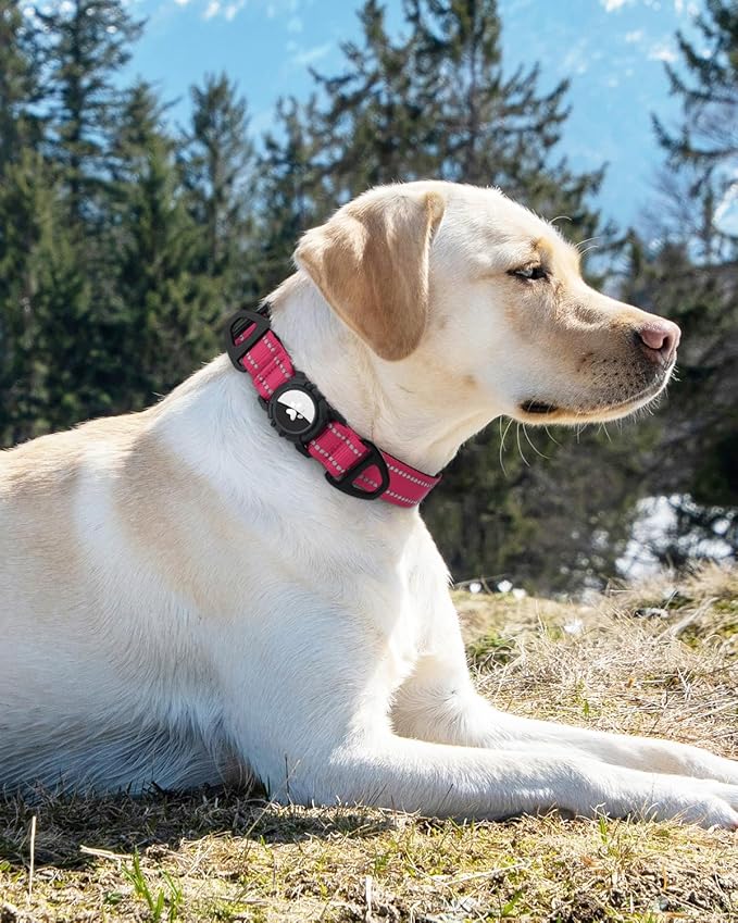 Joytale Airtag Dog Collar, Reflective Pet Collar with Waterproof AirTag Holder, Dual D-Rings, Soft Padded Adjustable for Extra Small and Puppy Dogs, Hotpink, XS