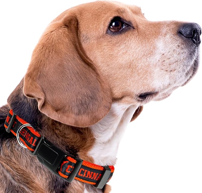 Cincinnati Bengals Satin Collar