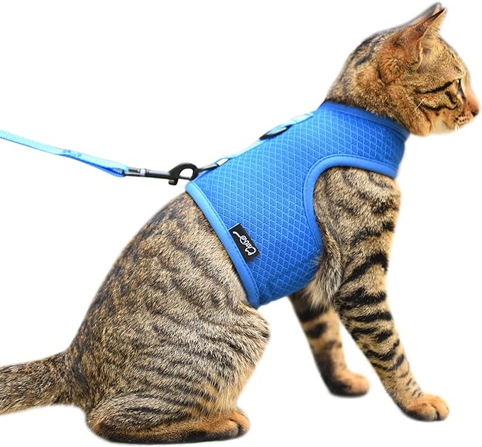 Kitty Harness and Leash for Walking Escape Proof Breathable Mesh Fabric, Solid Blue, Small, Adjustable Cat Walking Jackets, Padded Stylish Cat Vest