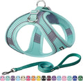 AIITLE Small Harness for Puppy with A Leash - Dog Vest Harness with Super Breathable Mesh, Reflective No-Pull Pet Harness for Outdoor Walking, Running for Small Dogs, Cats Pure Turquoise XXS