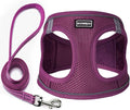 Dog Harness with Leash Set, No Pull Adjustable Reflective Step-in Puppy Pet Vest Harnesses for Small Medium Large Dogs and Cats,Cranberry L