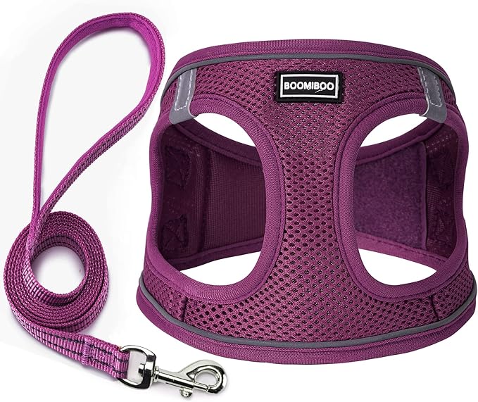 Dog Harness with Leash Set, No Pull Adjustable Reflective Step-in Puppy Pet Vest Harnesses for Small Medium Large Dogs and Cats,Cranberry XXS