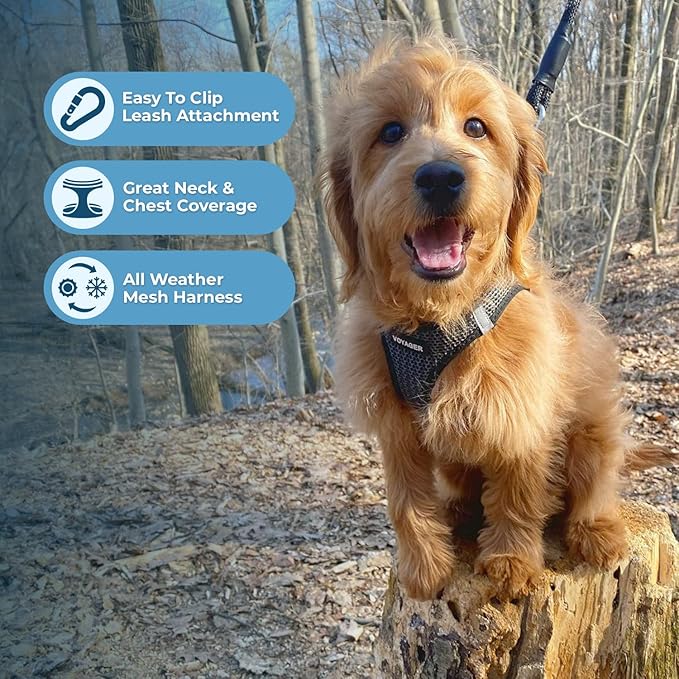 Best Pet Supplies Voyager Step-in Air All Weather Mesh Harness and Reflective Dog 5 ft Leash Combo with Neoprene Handle, for Small, Medium and Large Breed Puppies - Gray (2-Tone), XL