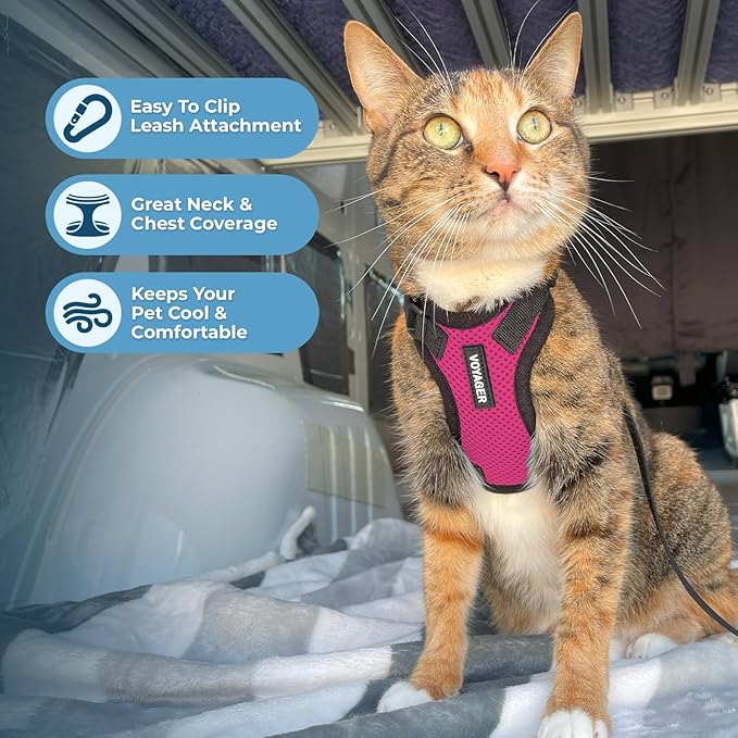 Voyager Escape-Proof Step-in Lock Cat Harness & 5ft Neoprene-Handle Leash Set All-Weather Mesh with Reflective Stitching for Small to Large Cats by Best Pet Supplies, Fuchsia/Black Trim, S