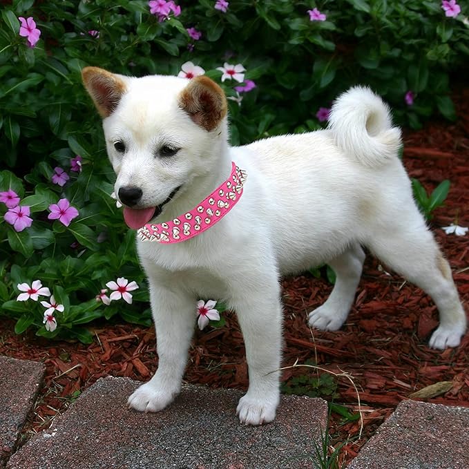 TEEMERRYCA Adjustable PU Leather Spiked Studded Dog Collars with a Squeak Ball Gift for Small Medium Large Pets Like Cats/Pit Bull/Bulldog/Pugs/Husky, Hot Pink, XS 8.3"-10.6"