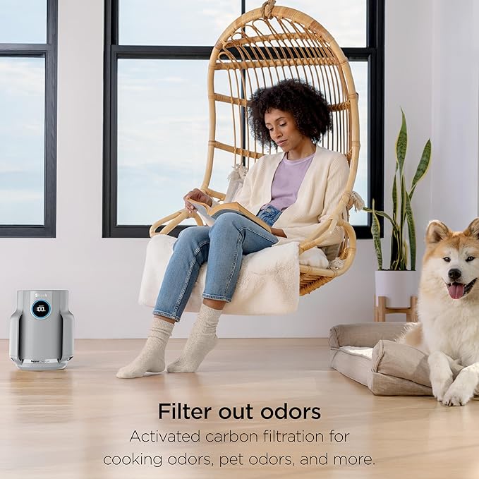 Shark Air Purifier for Home, NeverChange Compact Pro, for Bedroom, Nursery, Home Office, Dorm, HEPA-Exceeding Filter, Captures Pollutants, Pet Dander, Dust, Odor, Smoke, and More, HP071BRN, Winter Fog