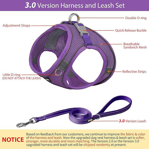 AIITLE Dog Harness, No-Pull Cat Harness with a Leash, Adjustable Reflective Dog Vest, Cat Harness Escape Proof, Outdoor Walking, Running,Training for Extra Small Dogs and House Cats Pure Purple XXXS