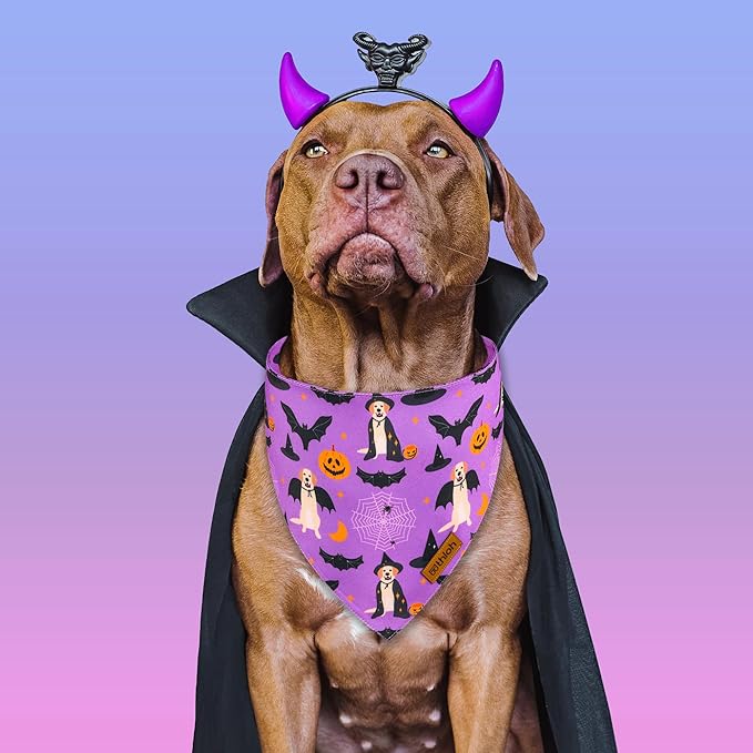 Halloween Dog Bandanas - 2 Pack Purple Dog Bandana with Snap Button | Reversible Pet Scarf for Boy & Girl | Premium Durable Fabric | Holiday Bandana for Small and Medium Dogs (Small)