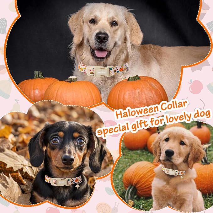 Fall Woodland Dog Collar, Playful Squirrel & Pumpkin Print on White Collar for Small Medium Large Dogs, Breathable, Adjustable & Comfortable Puppy Collar for Fall Walks & Pet Photos-XS