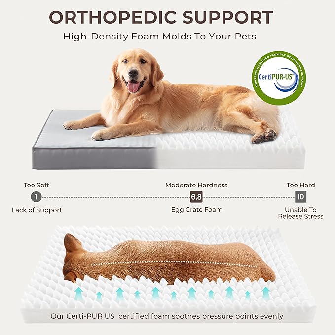2-Pack Waterproof Dog Bed Large Size Dogs, Plush Cushion & Orthopedic Egg-Crate Foam Mattress for Senior Dogs, Washable Dog Crate Bed with Removable Cover, Light Grey