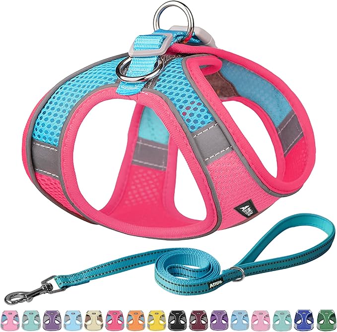 AIITLE Step in Dog Harness and Leash Set - No Pull Escape Proof Vest Harnesses with Soft Mesh and Reflective Bands, Adjustable Pet Outdoor Harnesses for Small and Medium Dogs Hot Pink M