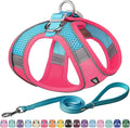 AIITLE No Pull Dog Harness and Leash Set, Step in Adjustable Dog Harness with Padded Vest for All Weather, Dog Leash with Soft Padded Handle, Easy to Put on Small and Medium Dogs Hot Pink S