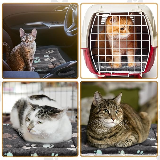 Tuanse 4 Pack Ultra Soft Dog Cat Bed Mat Small Animal Guinea Pig Bed with Cute Print Reversible Fleece Dog Crate Kennel Pad Cozy Washable Thickened Hamster Pet Beds Mat(23 x 18 Inches,Black)