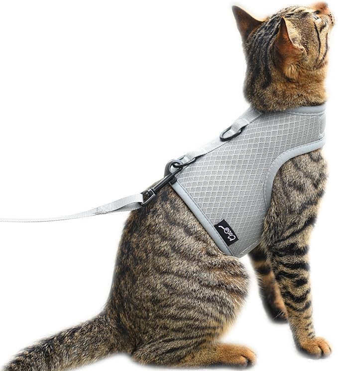 Cat Harness and Leash for Walking Escape Proof Breathable Mesh Fabric, Solid Grey, Large, Adjustable Cat Walking Jackets, Padded Stylish Cat Vest