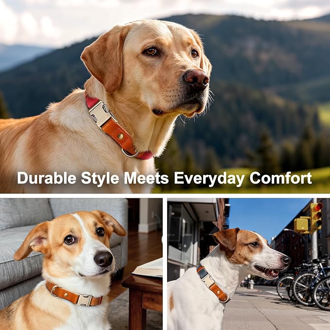 Plutus Pet Genuine Leather & Hemp Dog Collar – Adjustable Heavy Duty Pet Collar with Quick Release Metal Buckle, Soft & Stylish for Puppy and Small, Medium, Large Dogs (Purple, M)