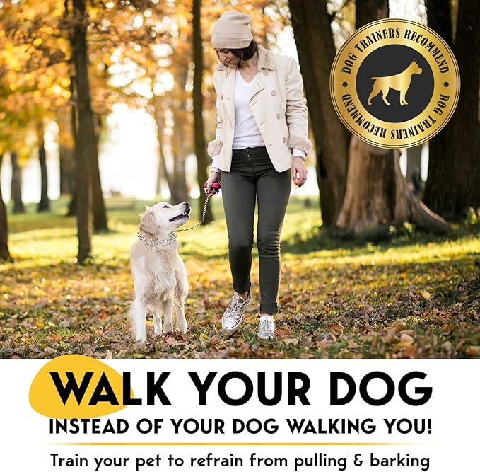 PetJett Prong Collar for Dogs - Choke Collar for Dogs, Pinch Collar for Dog, Adjustable Training Collar & Walking Tool for Small, Medium, or Large Breed - No Pull Stainless Steel Metal Choker Chain