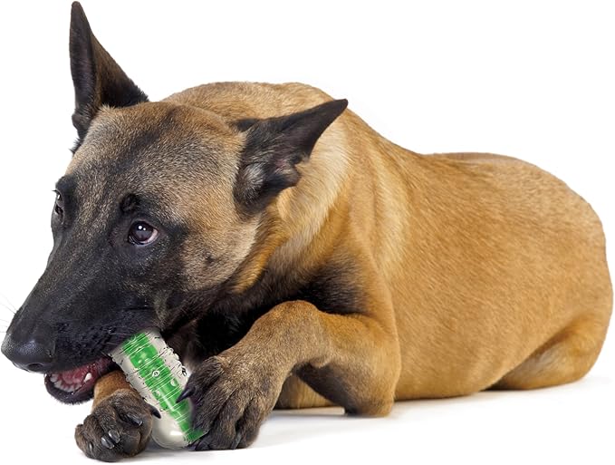 Petstages Crunchcore Bone Water Bottle Alternative Dog Chew Toy, Medium