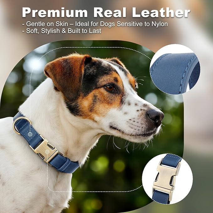 Plutus Pet Genuine Leather Dog Collar – Adjustable Pet Collar with Quick Release Metal Buckle, Soft Real Leather for Small Medium Large Dogs, Heavy Duty & Skin-Friendly (Royal Blue, S)