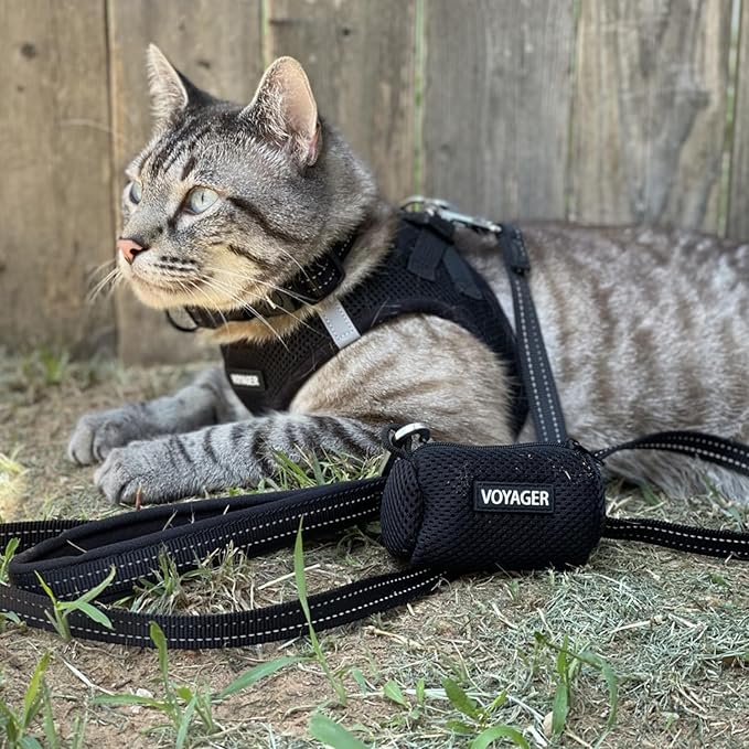 Best Pet Supplies Voyager Step-in Air All Weather Mesh Harness and Reflective Dog 5 ft Leash Combo with Neoprene Handle, for Small, Medium and Large Breed Puppies - Set (Black), S